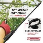 Chapin 20000 Made in USA 1 -Gallon Lawn and Garden Pump Pressured Sprayer - Image 2